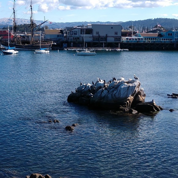 Meet your Posher, Sandra - Picture 1 of 1